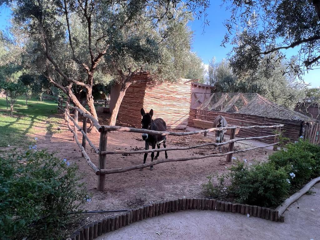 Jardin Sakina - Centre De Bien-Etre & Soins Holistiques - Chambre D'Hotes Bed and Breakfast Marrakesh Exterior foto