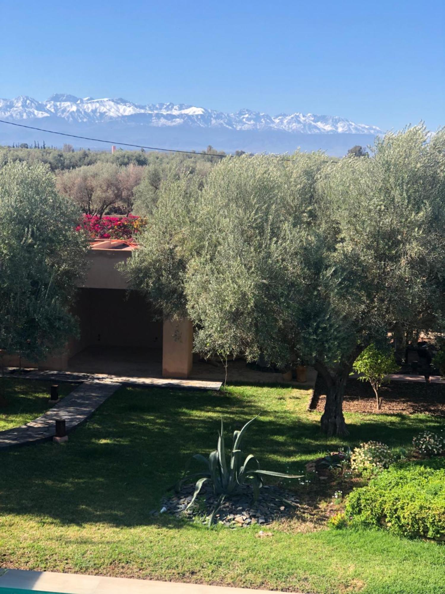 Jardin Sakina - Centre De Bien-Etre & Soins Holistiques - Chambre D'Hotes Bed and Breakfast Marrakesh Exterior foto