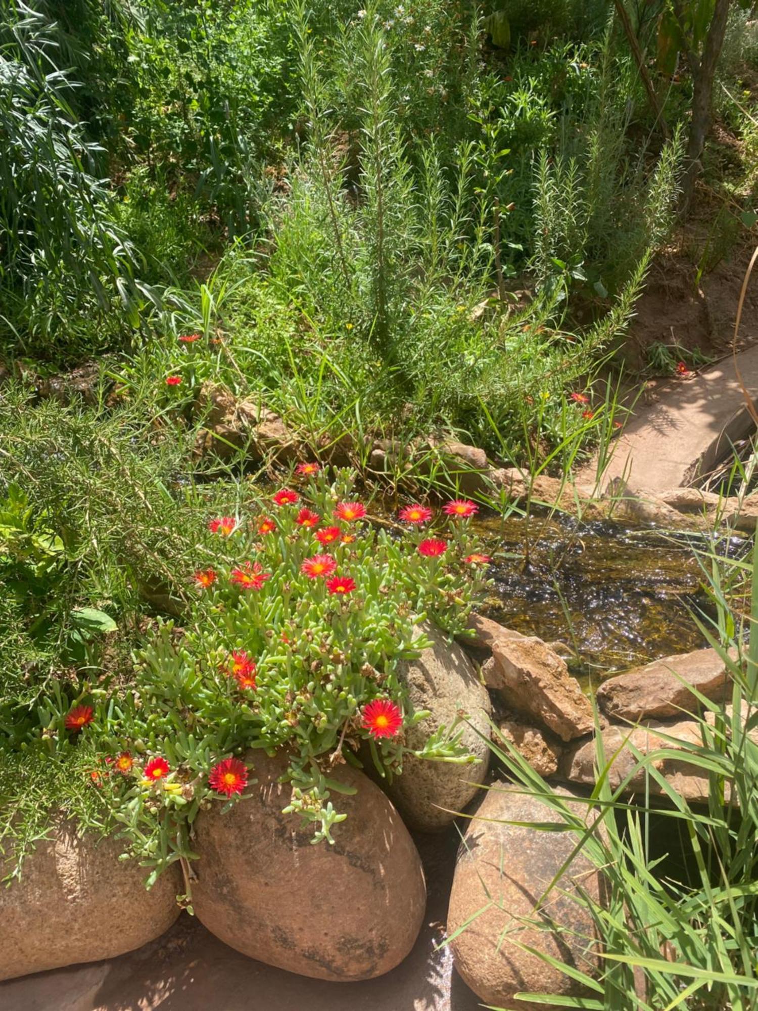 Jardin Sakina - Centre De Bien-Etre & Soins Holistiques - Chambre D'Hotes Bed and Breakfast Marrakesh Exterior foto